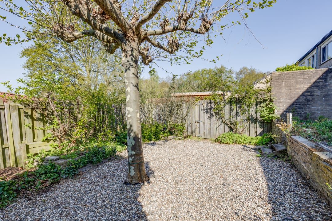 Foto 46 van Hoge Veld 7