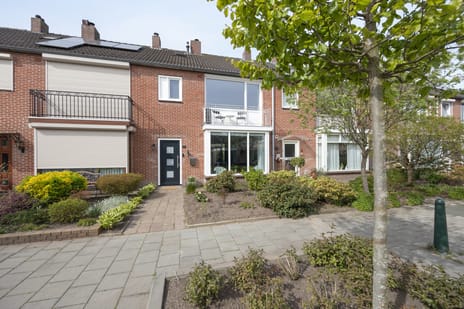 undefined main image