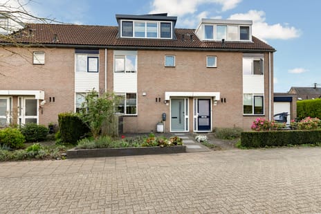 Vlierbessenlaan thumbnail