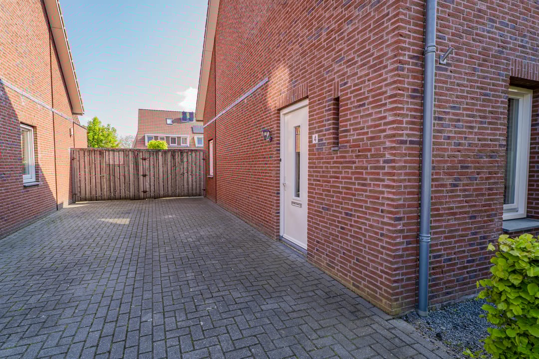 Foto 2 van Pastinaak 4