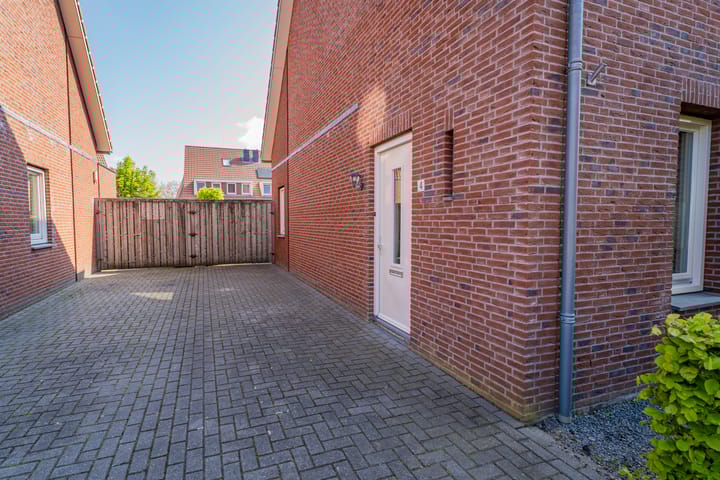 Foto 2 van Pastinaak 4