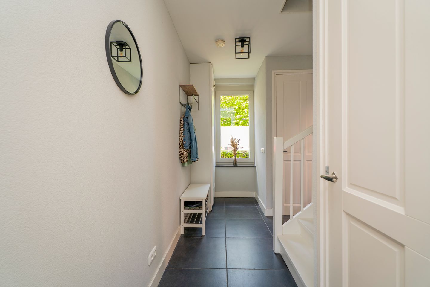 Foto 4 van Pastinaak 4