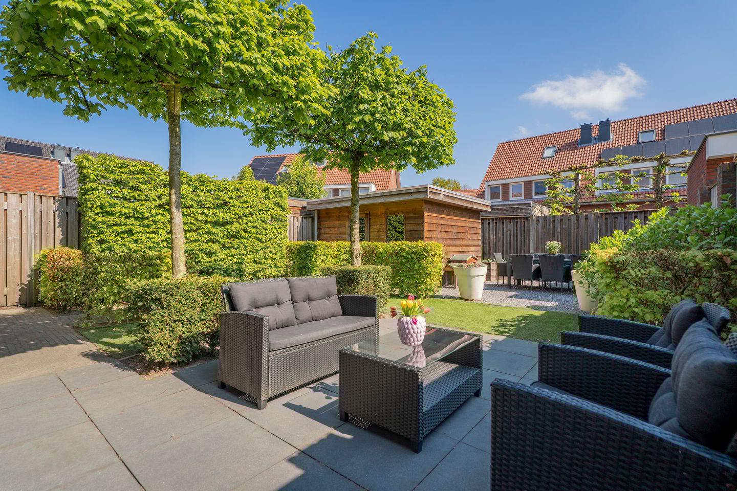 Foto 40 van Pastinaak 4