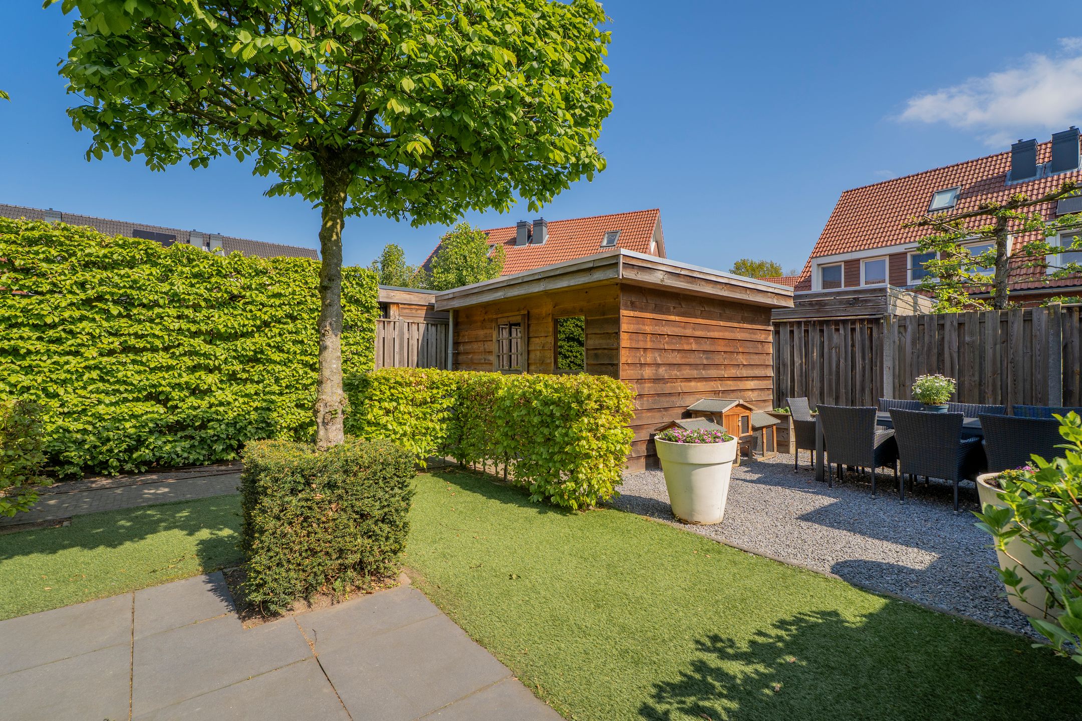 Foto 42 van Pastinaak 4