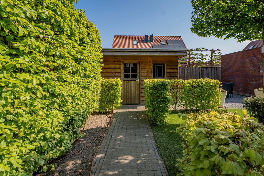 Foto 47 van Pastinaak 4