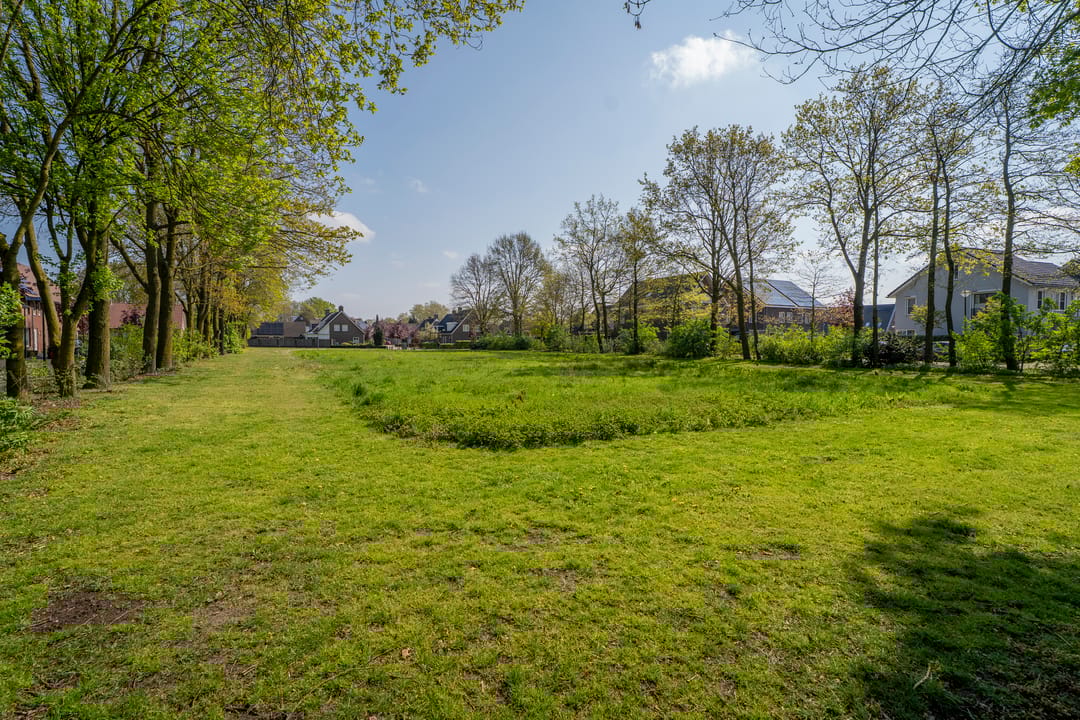 Foto 52 van Pastinaak 4