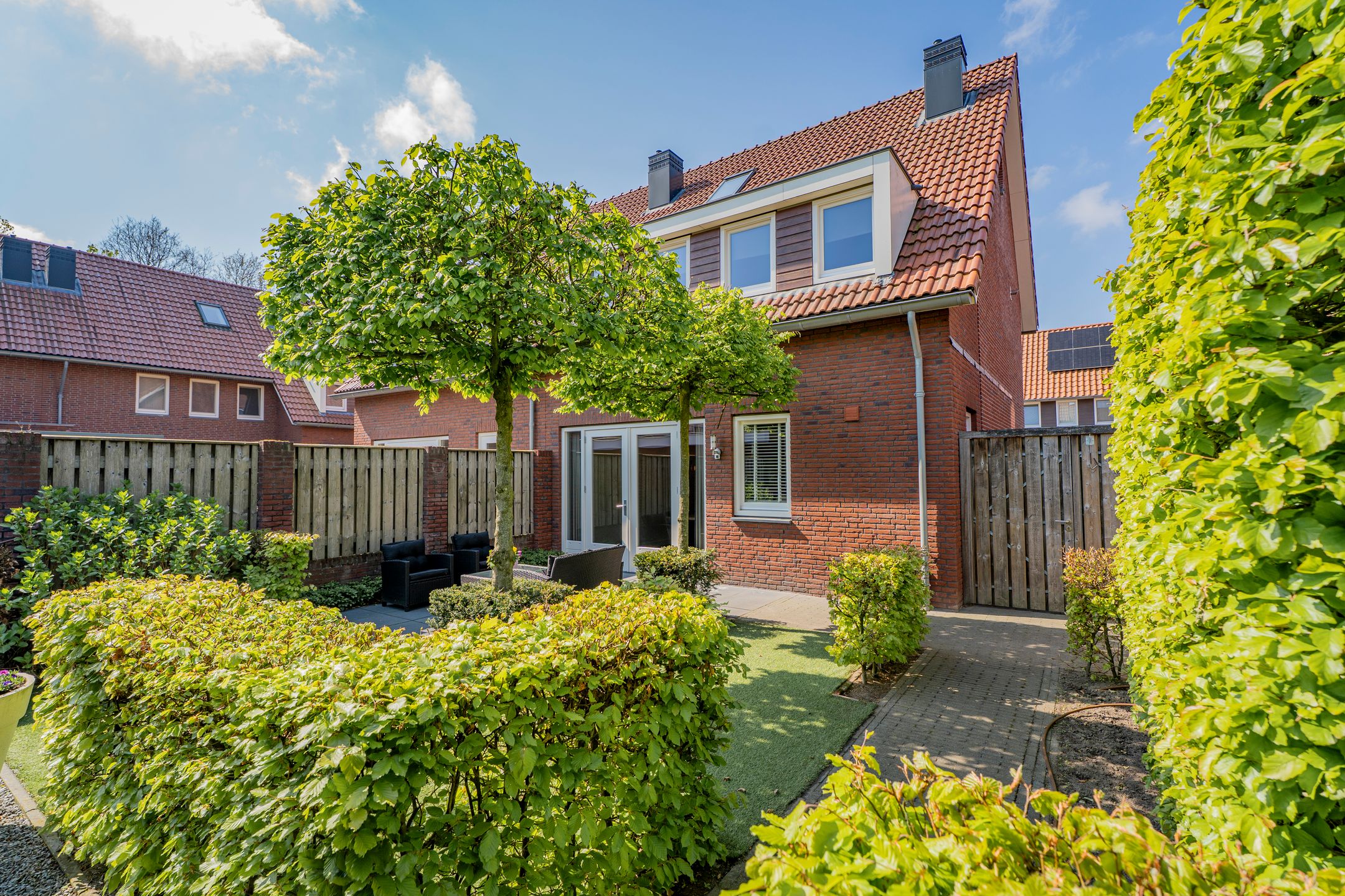 Foto 45 van Pastinaak 4