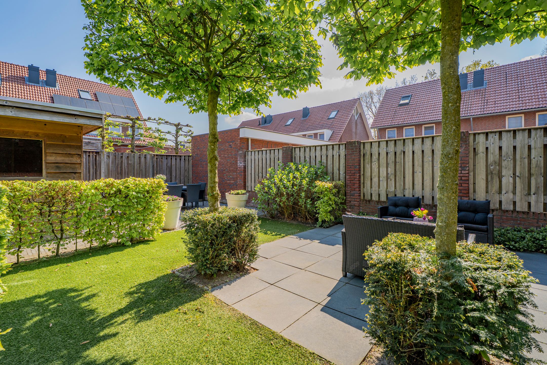 Foto 39 van Pastinaak 4