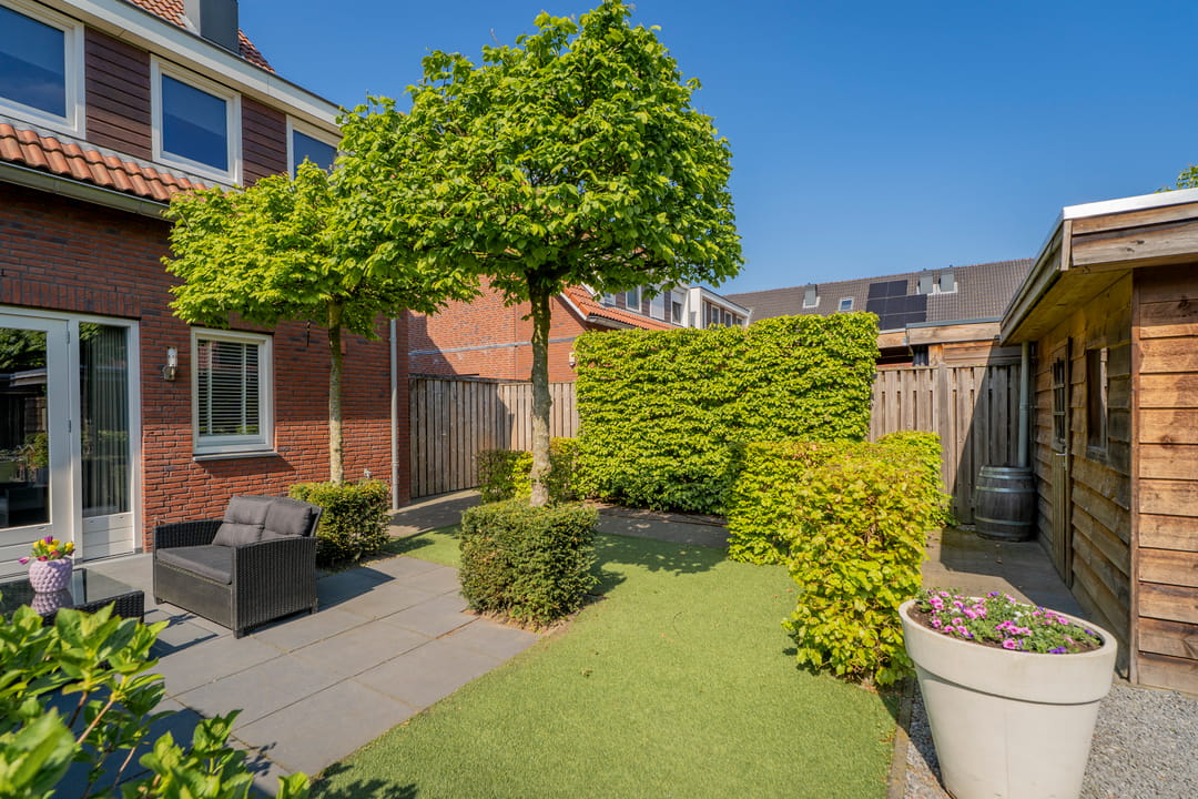 Foto 41 van Pastinaak 4