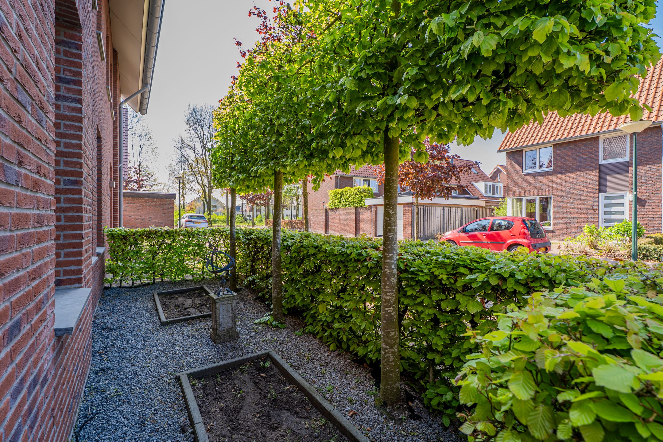 Foto 48 van Pastinaak 4