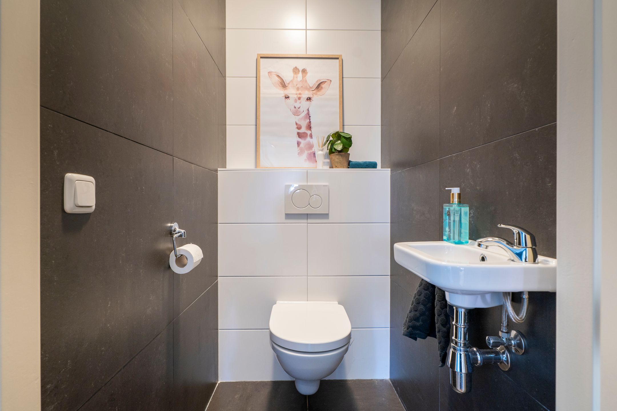 Foto 33 van Pastinaak 4