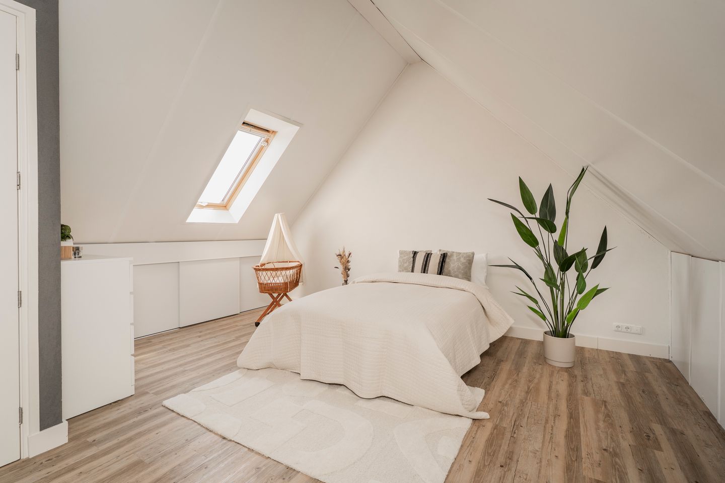 Foto 35 van Pastinaak 4