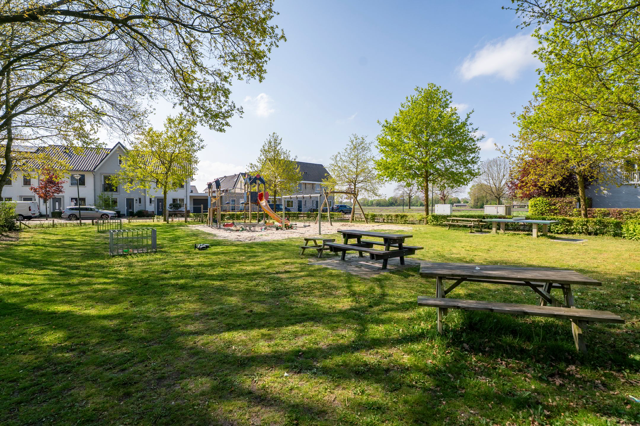 Foto 51 van Pastinaak 4