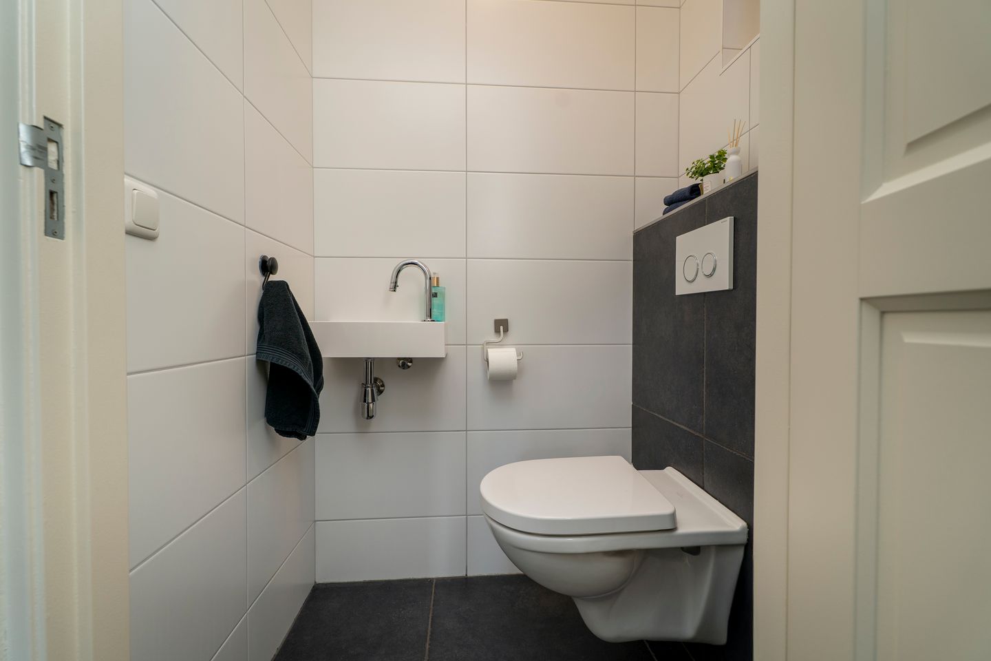 Foto 20 van Pastinaak 4