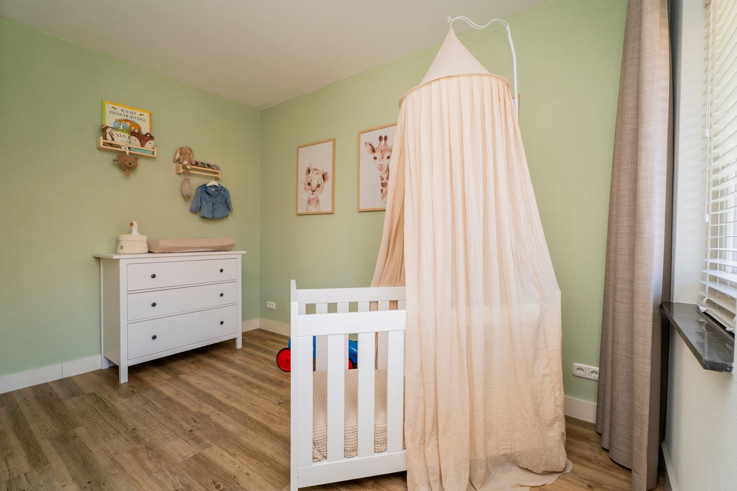 Foto 29 van Pastinaak 4