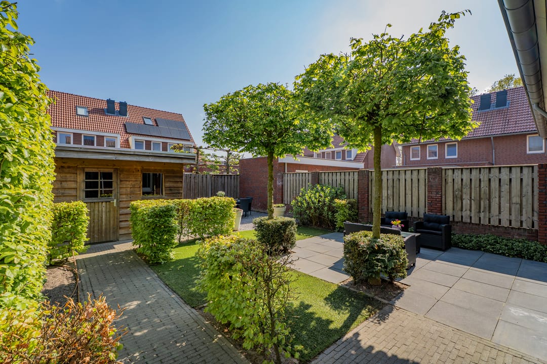 Foto 38 van Pastinaak 4