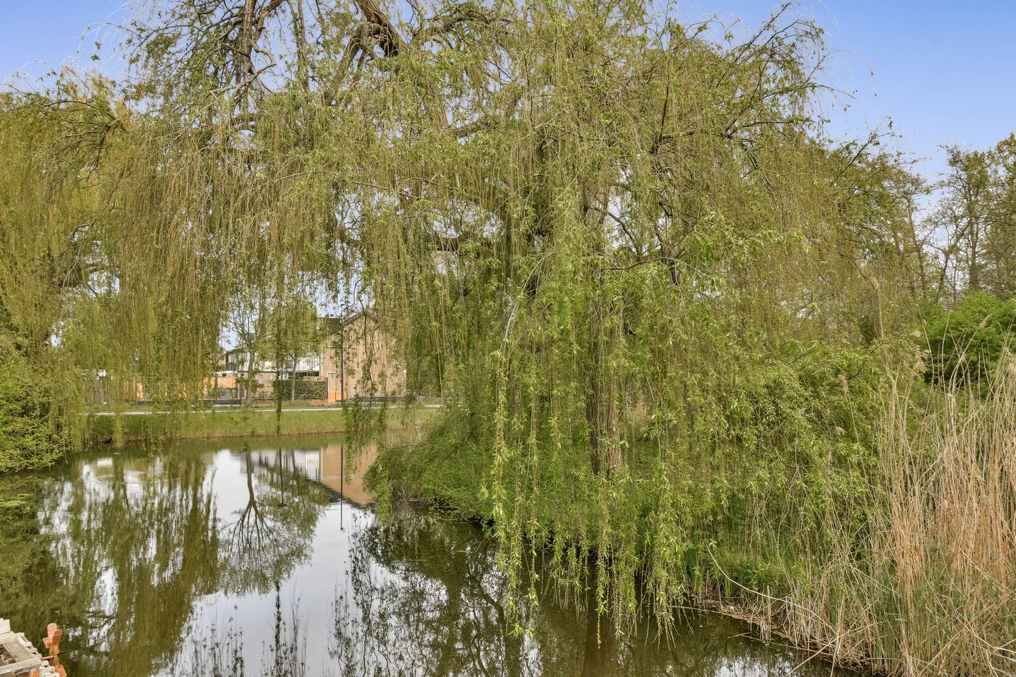 Foto 29 van Malusdreef 1