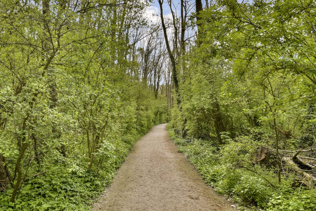 Foto 28 van Malusdreef 1