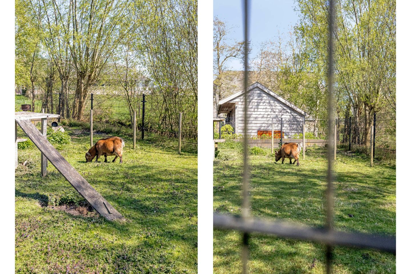 Foto 35 van Ds Veenweg 54