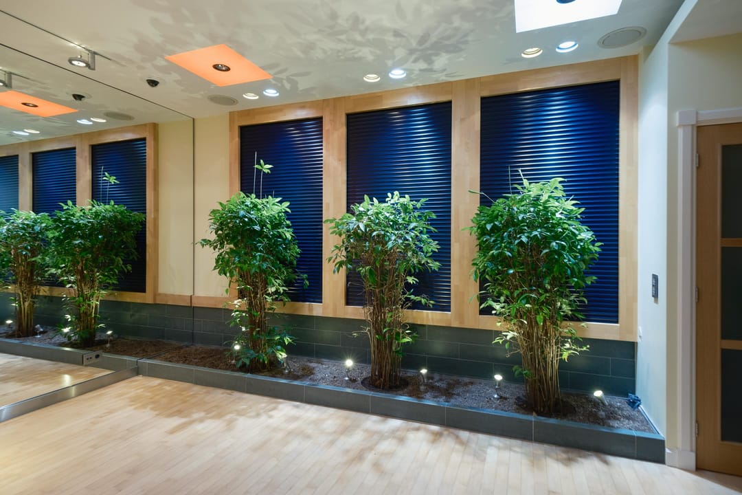 Foto 97 van Molslaan 206