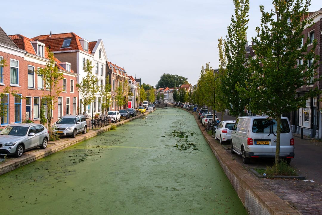 Foto 76 van Molslaan 206