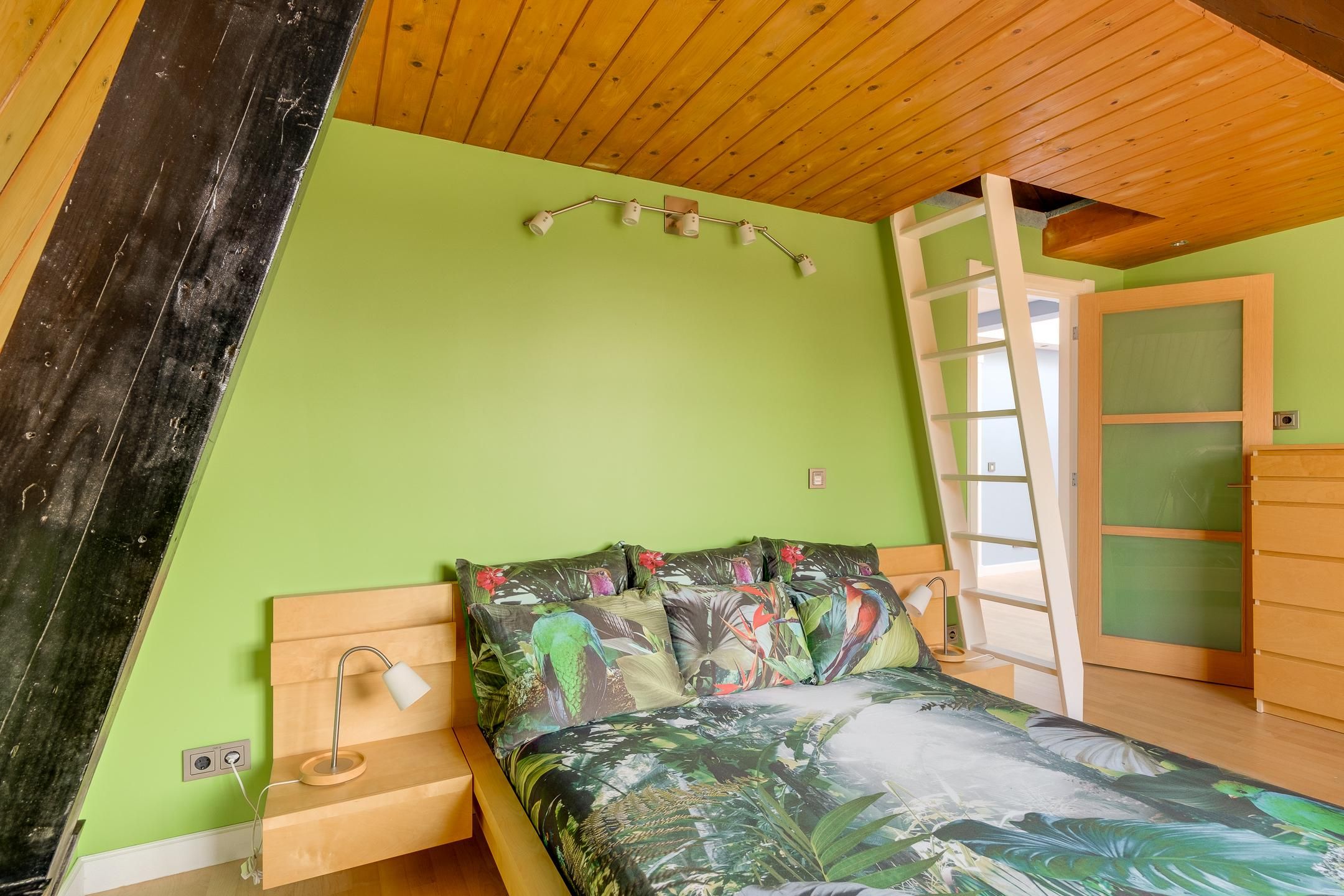 Foto 69 van Molslaan 206