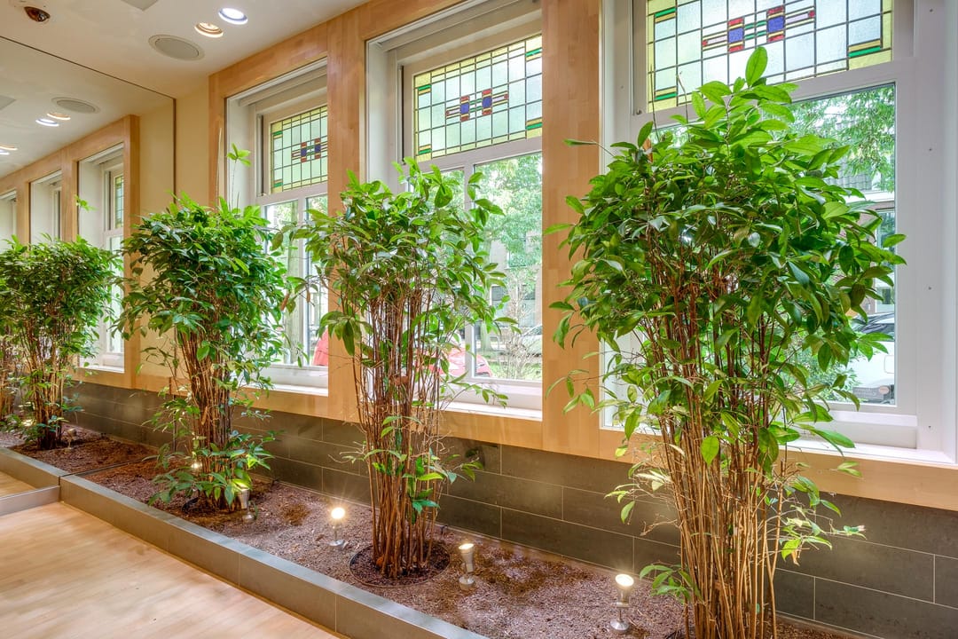 Foto 11 van Molslaan 206