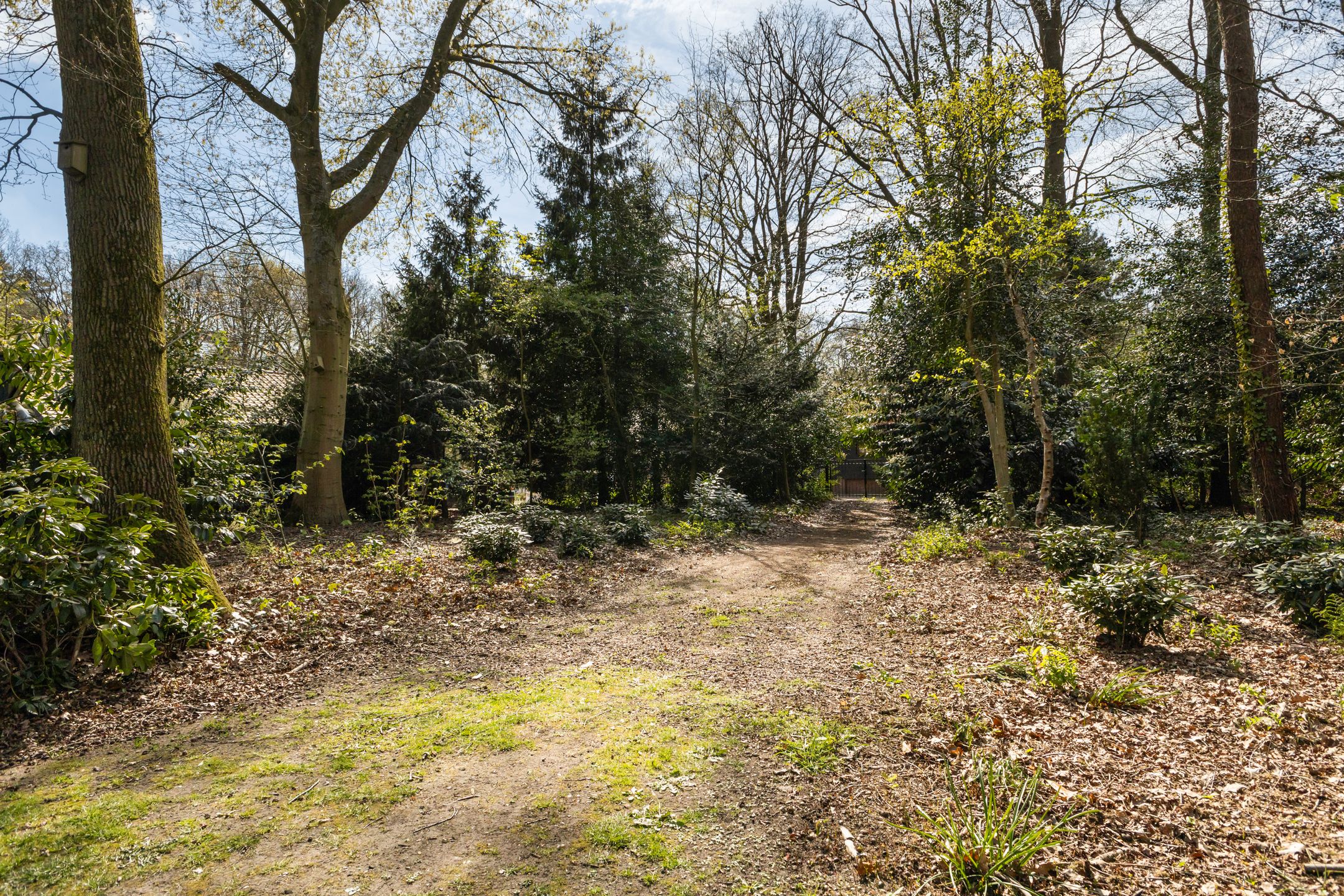 Foto 72 van Horsterweg 154