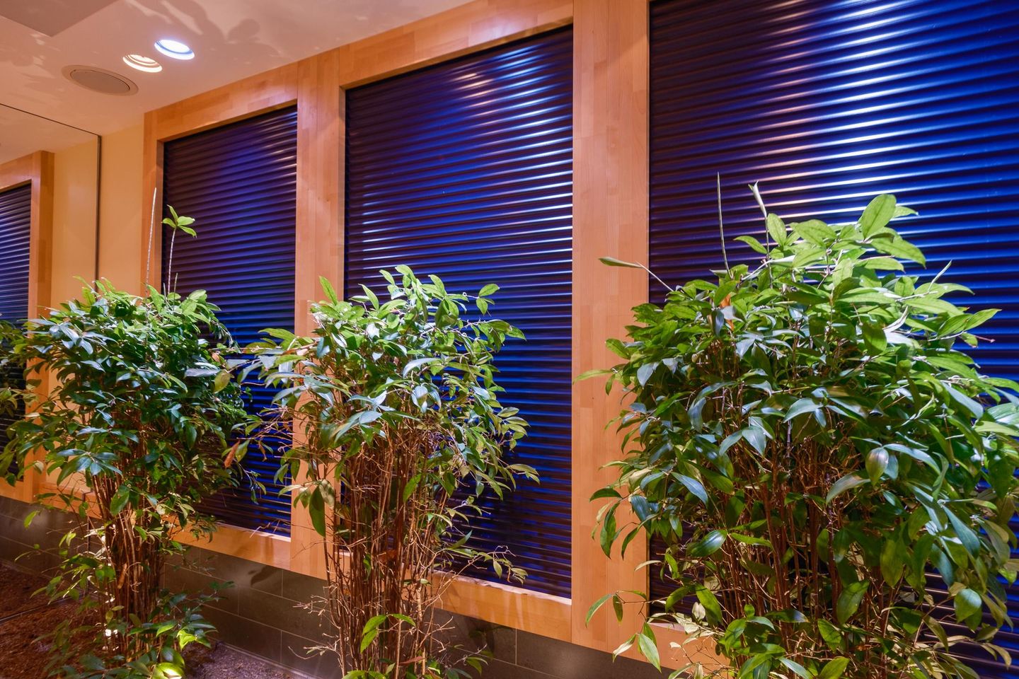 Foto 80 van Molslaan 206