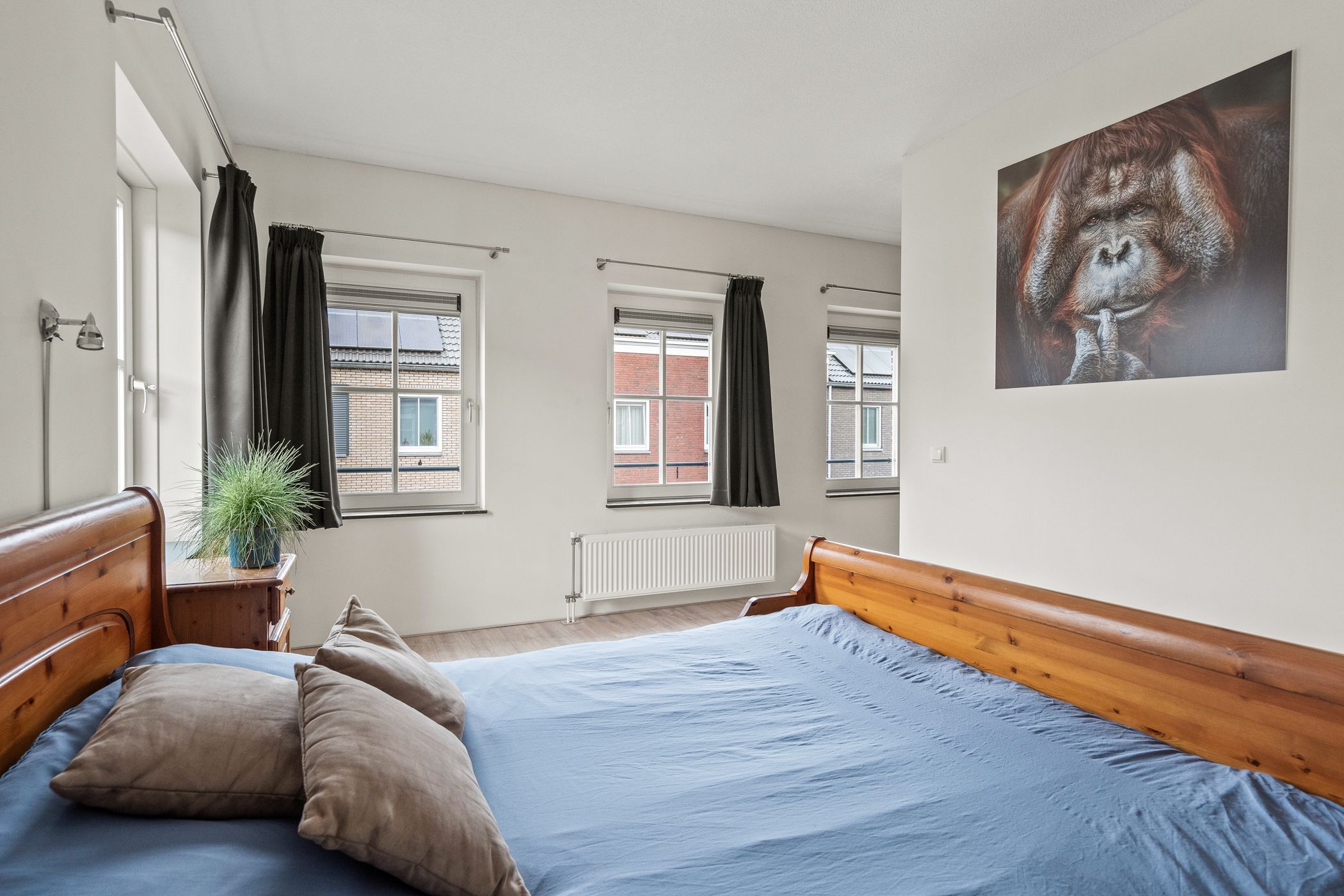 Foto 39 van Willem van Noortstraat 2