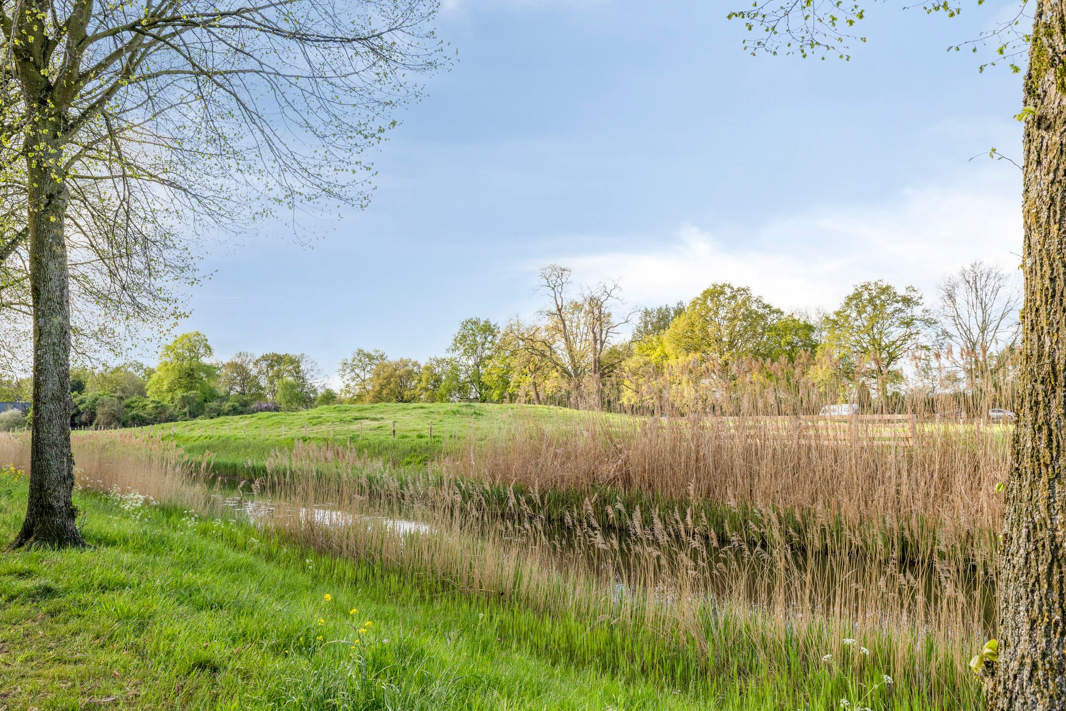 Foto 21 van Lagemorgenlaan 138