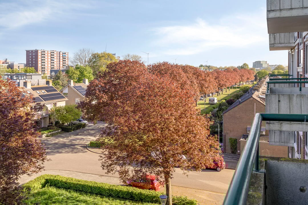 Foto 11 van Lagemorgenlaan 138