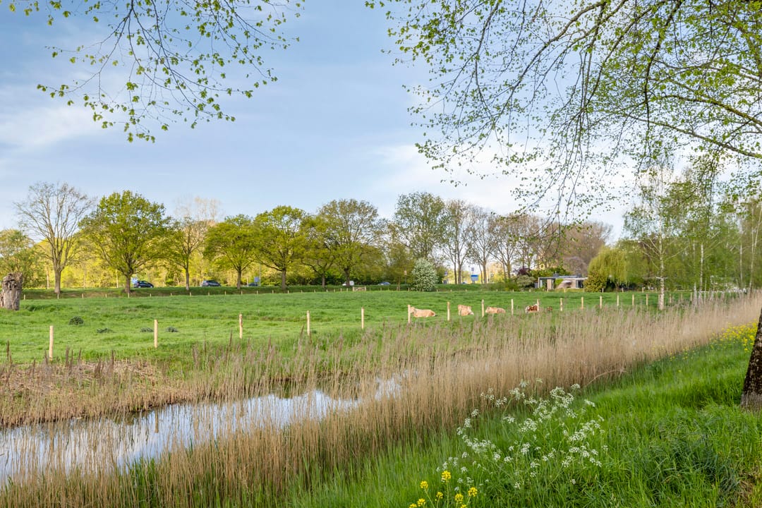 Foto 22 van Lagemorgenlaan 138