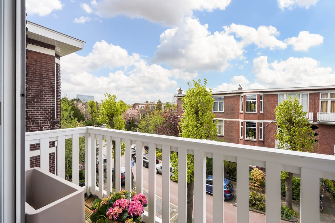 Foto 26 van Ieplaan 59