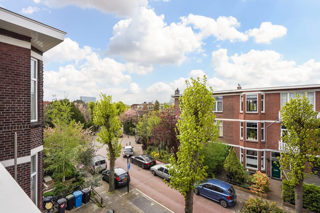 Foto 28 van Ieplaan 59