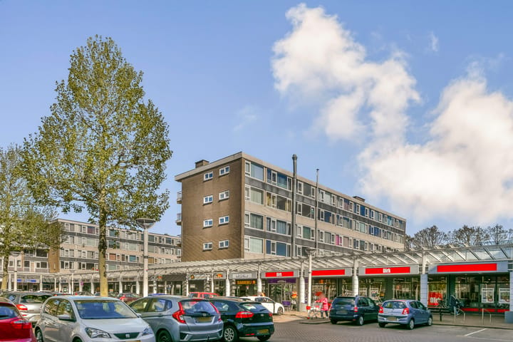 Appartement te koop: Van Oldenbarneveltplein 44, Dordrecht