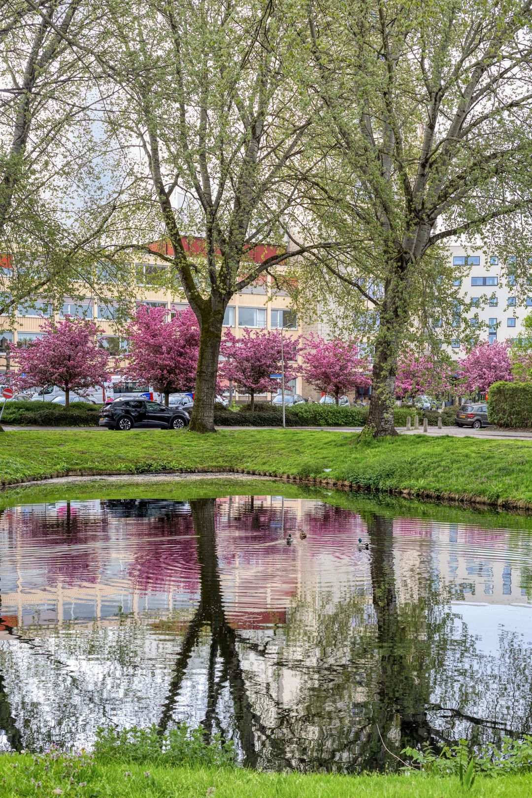 Foto 28 van Populierenlaan 46