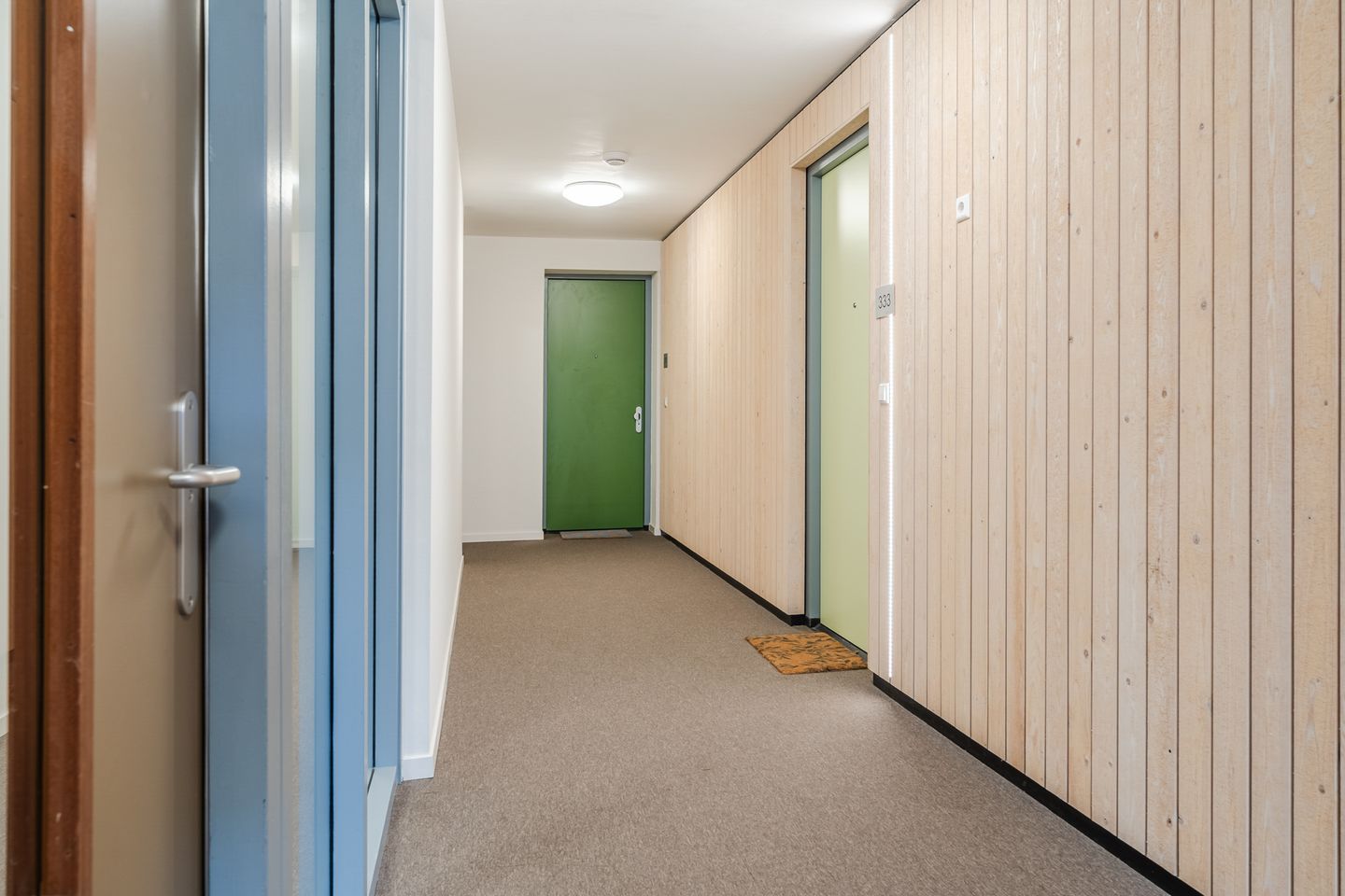 Photo 40 of Faas Wilkesstraat 333