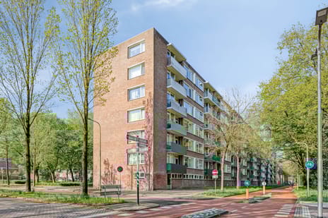 Professor Cobbenhagenlaan thumbnail