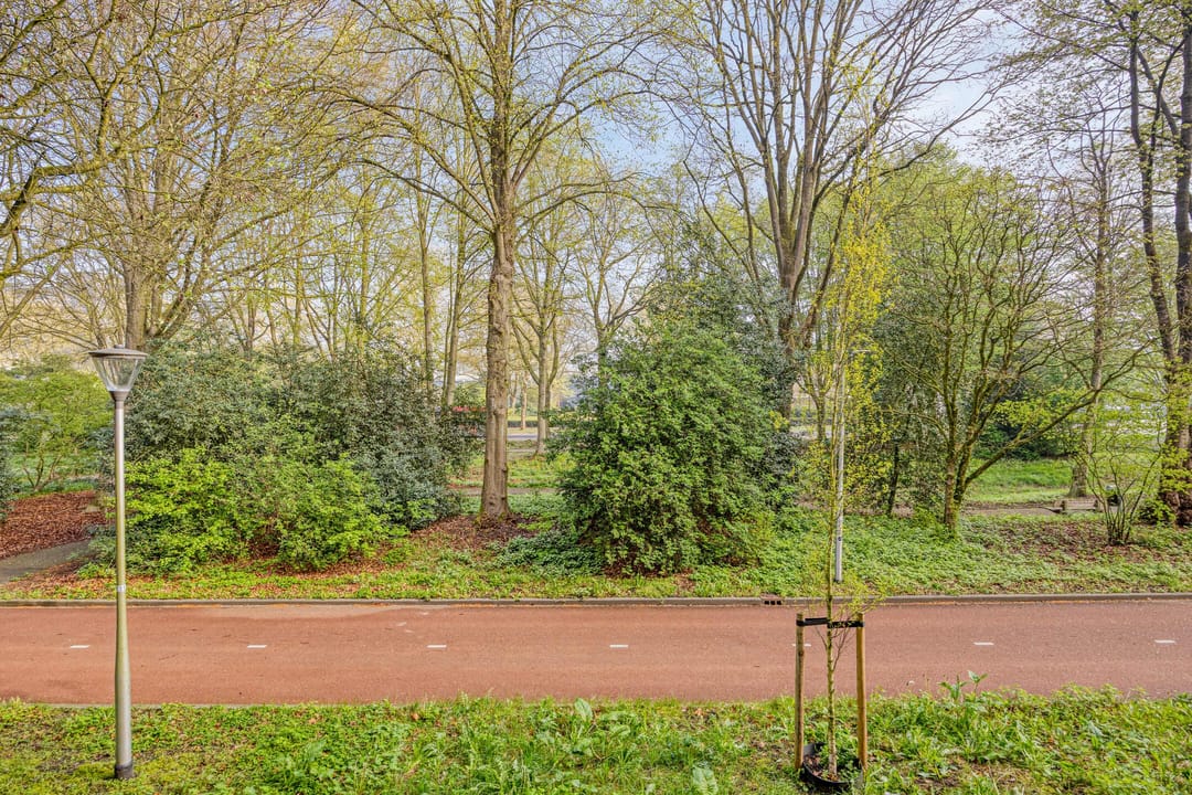 Foto 2 van Professor Cobbenhagenlaan 238