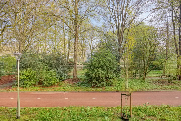 Foto 2 van Professor Cobbenhagenlaan 238