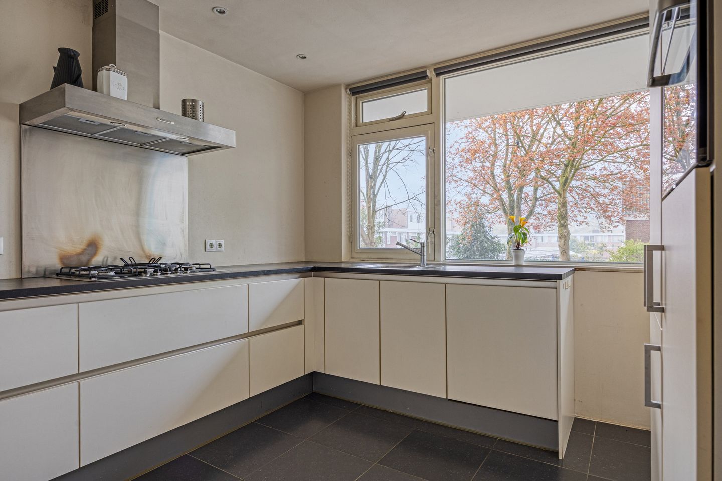 Foto 4 van Professor Cobbenhagenlaan 238