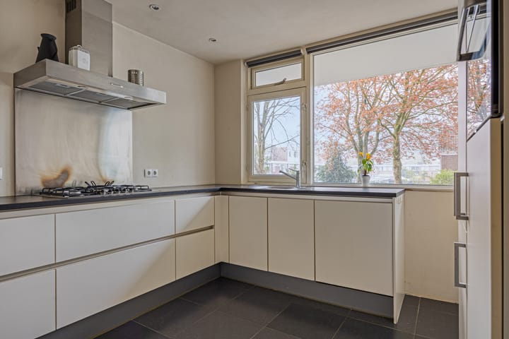 Foto 4 van Professor Cobbenhagenlaan 238