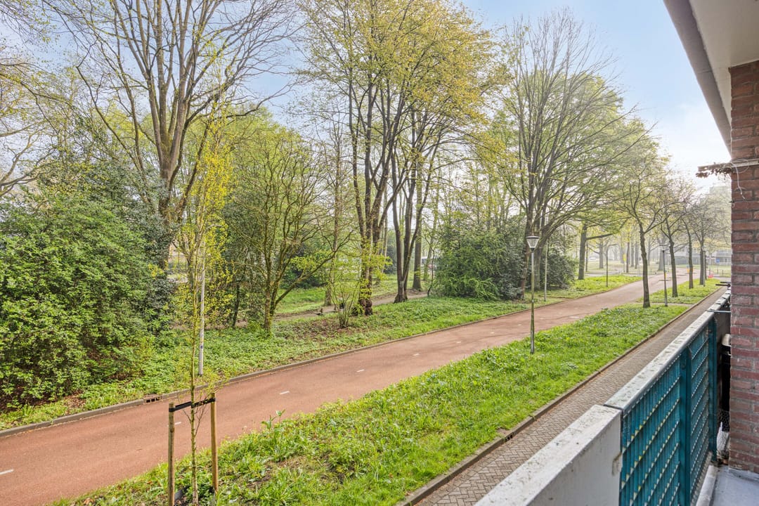 Foto 28 van Professor Cobbenhagenlaan 238