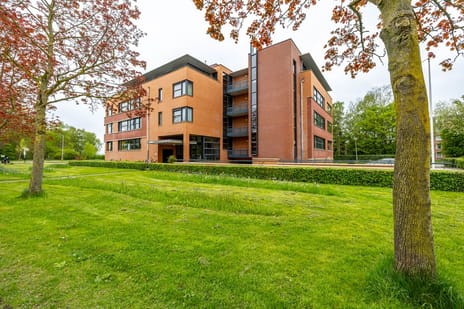 Nesciolaan thumbnail