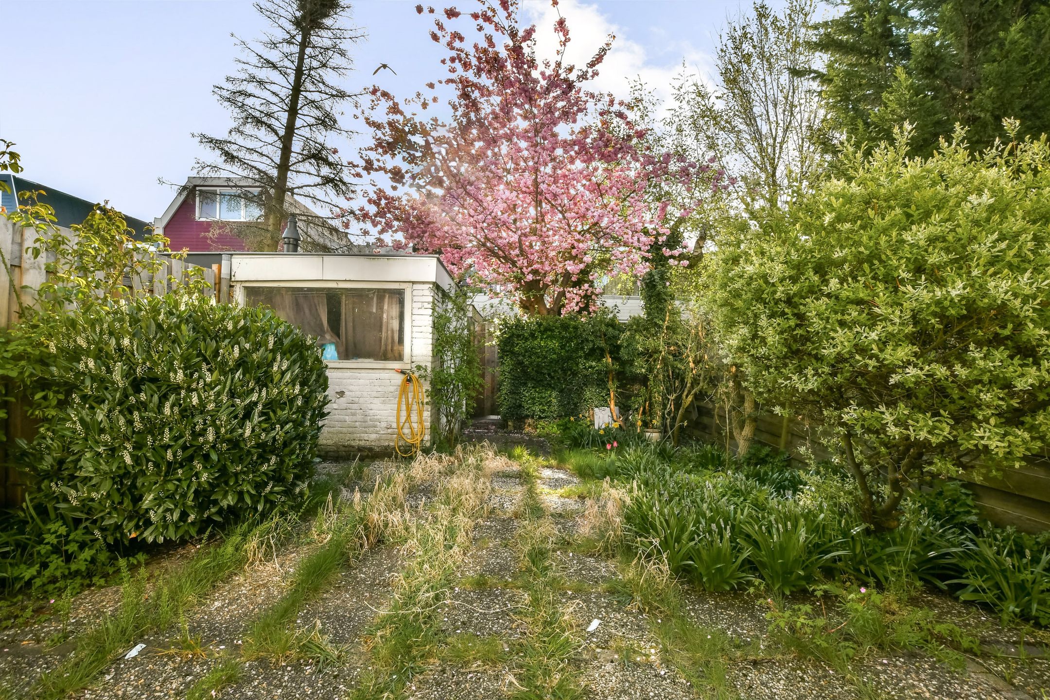 Foto 9 van Prof. Lorentzlaan 36