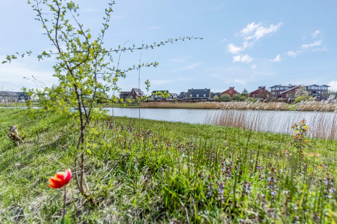 Foto 38 van Klapbrug 3