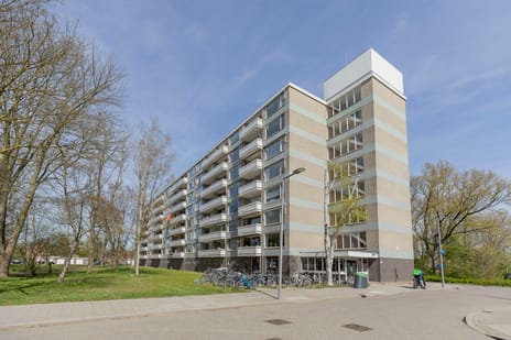 Everaertstraat thumbnail