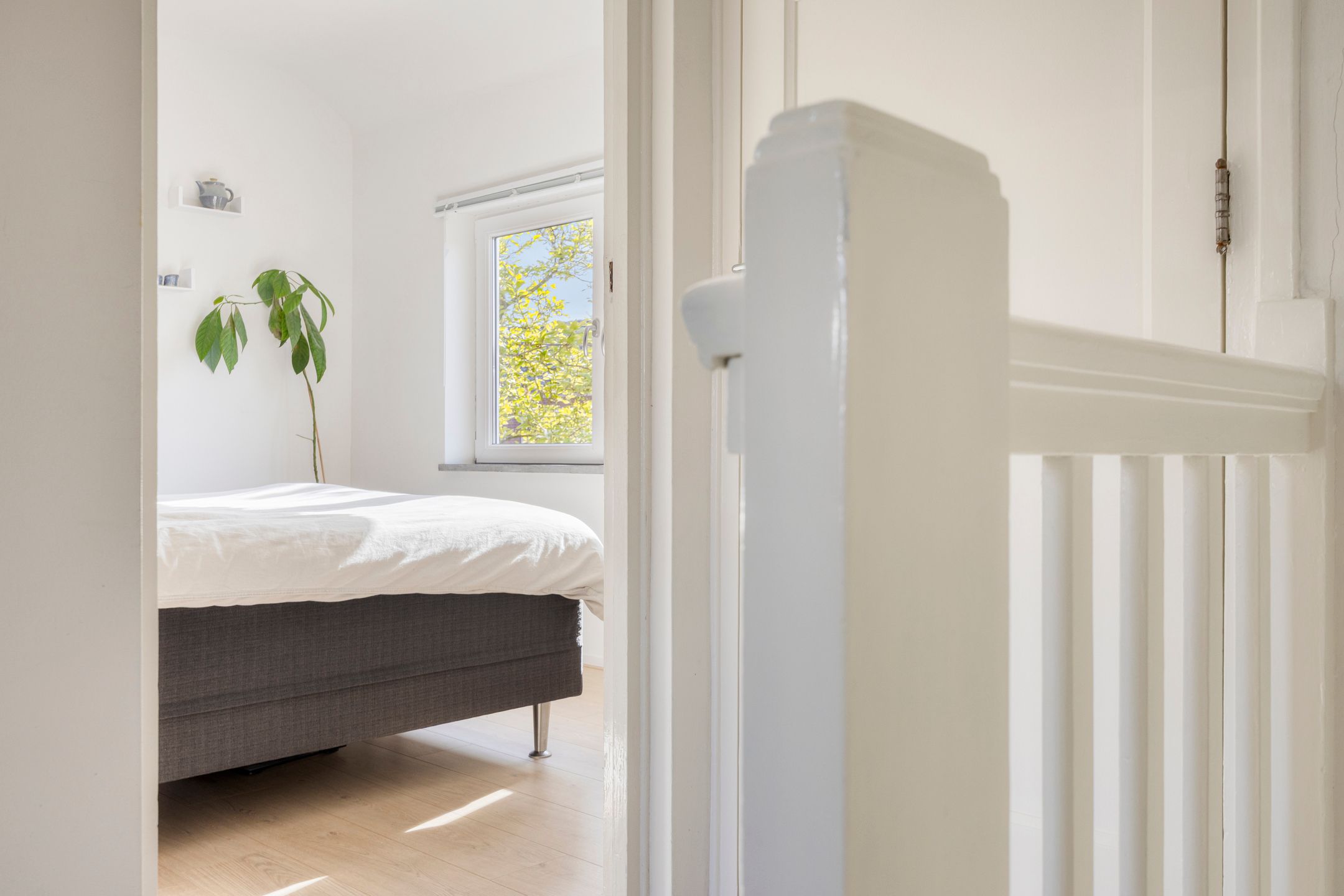 Foto 21 van Wilgenroosstraat 67