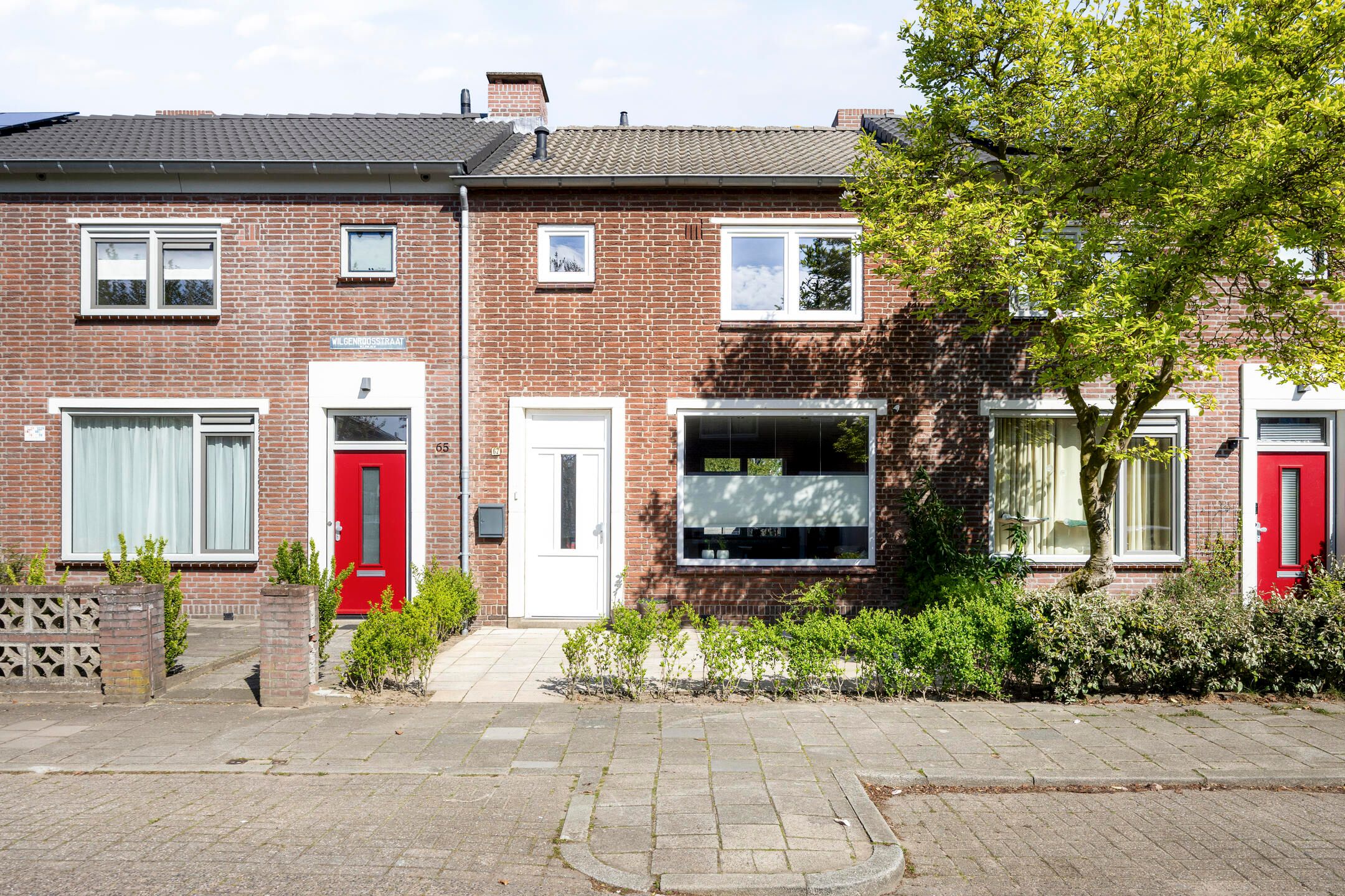 Wilgenroosstraat 67 